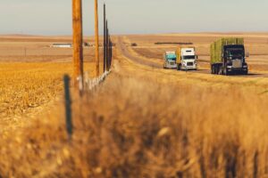 5 Blogs to Follow Reliable Drayage Services in Texas Canal Cartage Transmodal