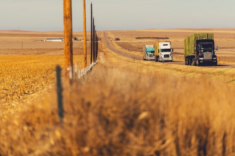5 Blogs to Follow Reliable Drayage Services in Texas Canal Cartage Transmodal